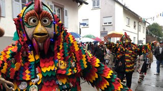 Zahlreiche Narren feiern beim Narrensprung in Karlsruhe-Grötzingen