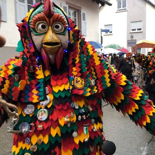Zahlreiche Narren feiern beim Narrensprung in Karlsruhe-Grötzingen