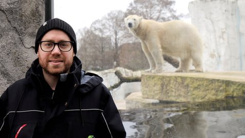 Tierarzt Marco Roller vor dem Eisbären-Gehege im Karlsruher Zoo