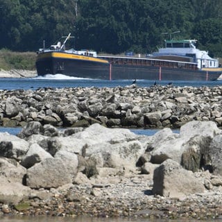 Ein Frachtschiff auf dem Rhein bei Karlsruhe. Wegen Niedrigwasser ragen die Buhnen im Vordergrund aus dem Wasser