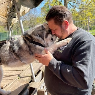 Huskies in Karlsruhe suchen ein zu Hause