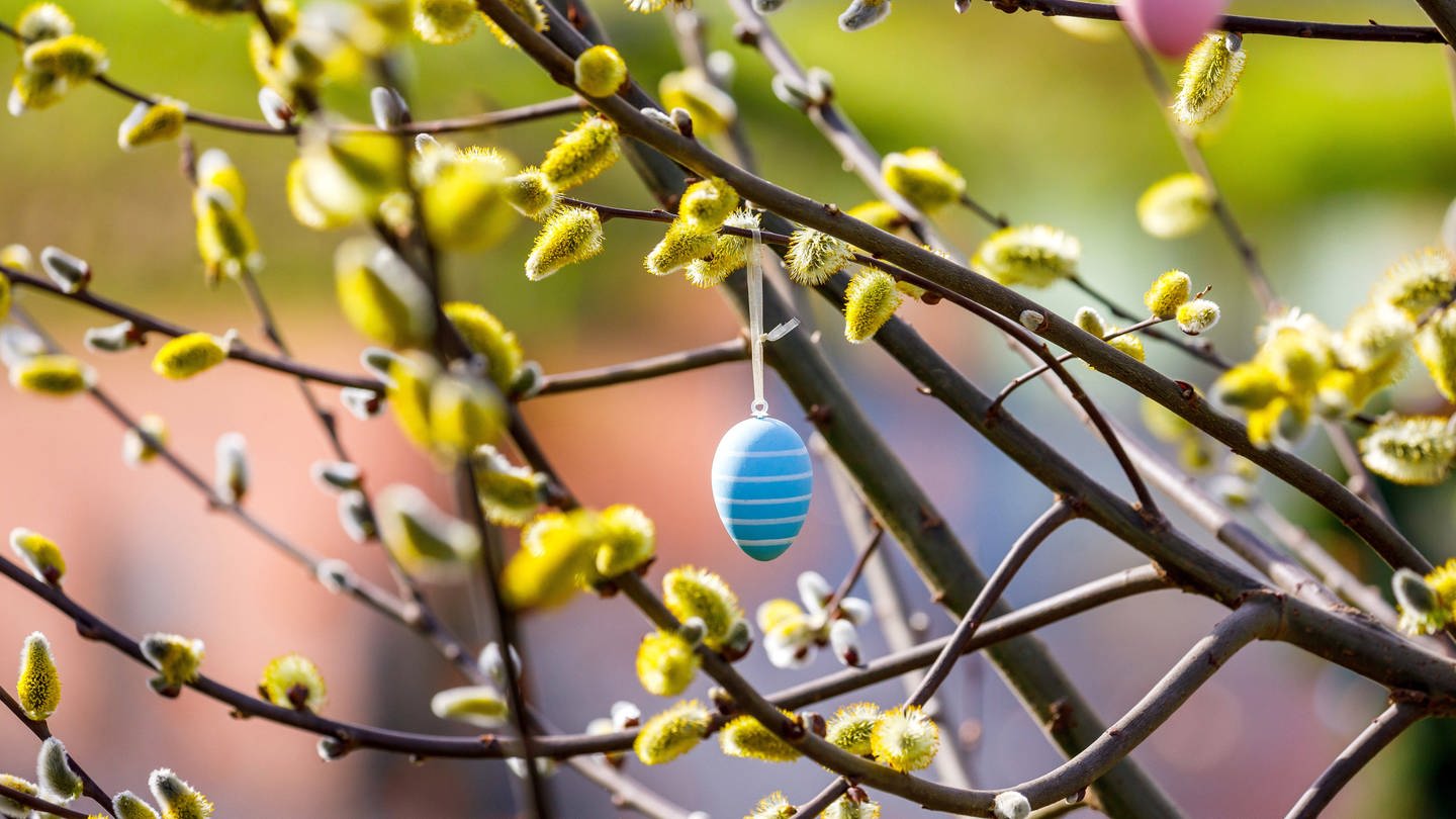 Ein buntes Osterei an einem Baum