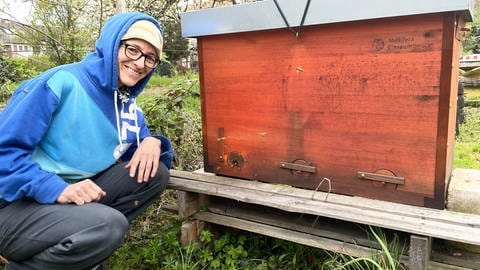 Jede Menge Bienen: Im Garten von der Expertin Katrin Sonnleitner aus Karlsruhe leben insgesamt sechs Bienenvölker.