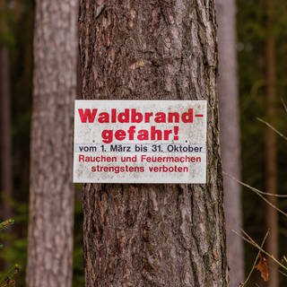 Waldbrandgefahr in Karlsruhe: Vorsicht geboten!