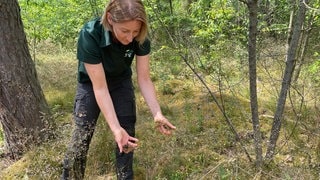 Sandra Anselment steht in trockenen Sträuchern und hält trockenes Moos in der Hand