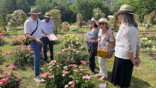 Jury-Mitglieder begutachten die Rosen beim Rosenneuheitenwettbewerb in Baden-Baden