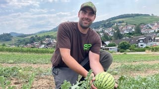 Winzer Sascha Pfaff mit einer Wassermelone in seinem Weinberg in Baden-Baden