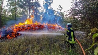 Brennende Holzstapel im Hardtwald bei Stutensee