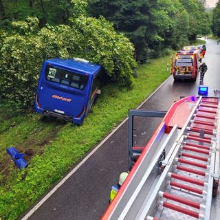 Der Bus wurde auf den linken Fahrbahnrand geschleudert und prallte bei Schömberg gegen mehrere Bäume.