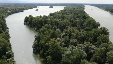 Der Goldkanal in Elchesheim-Illingen liegt direkt am Rhein.