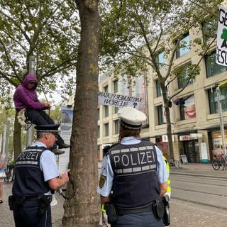 In der Innenstadt von Karlsruhe haben Klimaaktivisten die Platanen besetzt. 
