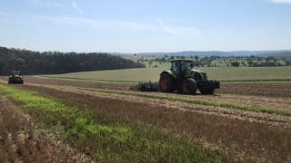 "Landwirt für ein Jahr": Der Landwirt Martin Ehrismann wünscht sich mehr Verständnis für die Landwirtschaft. Unerfahrene dürfen bei der Arbeit auf seinem Feld im Enzkreis mit anpacken und selbst Traktor fahren.
