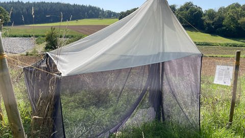 Für den Naturschutz in BW: Eine sogenannte Malaise-Falle für Insekten im Naturschutzgebiet "Beim Steiner Mittelberg" in Königsbach-Stein
