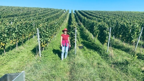 Familienbetrieb von Weingut Holger Dütsch in Baden-Baden-Neuweier