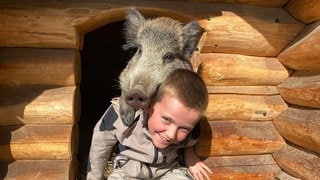 Das Wildschwein Friedrich mit dem Spitznamen Schnitzel ist mit dem achtjährigen Mathis befreundet.