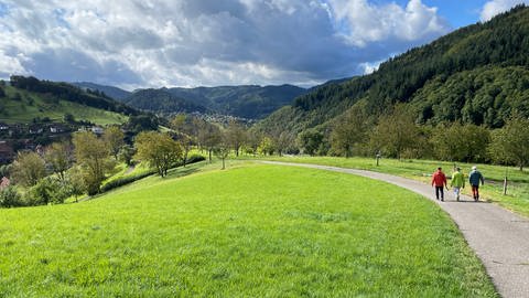 Wanderwege führen beim Wandern im Schwarzwald durch Wald und Wiesen. Experten empfehlen immer eine Karte dabei zu haben.