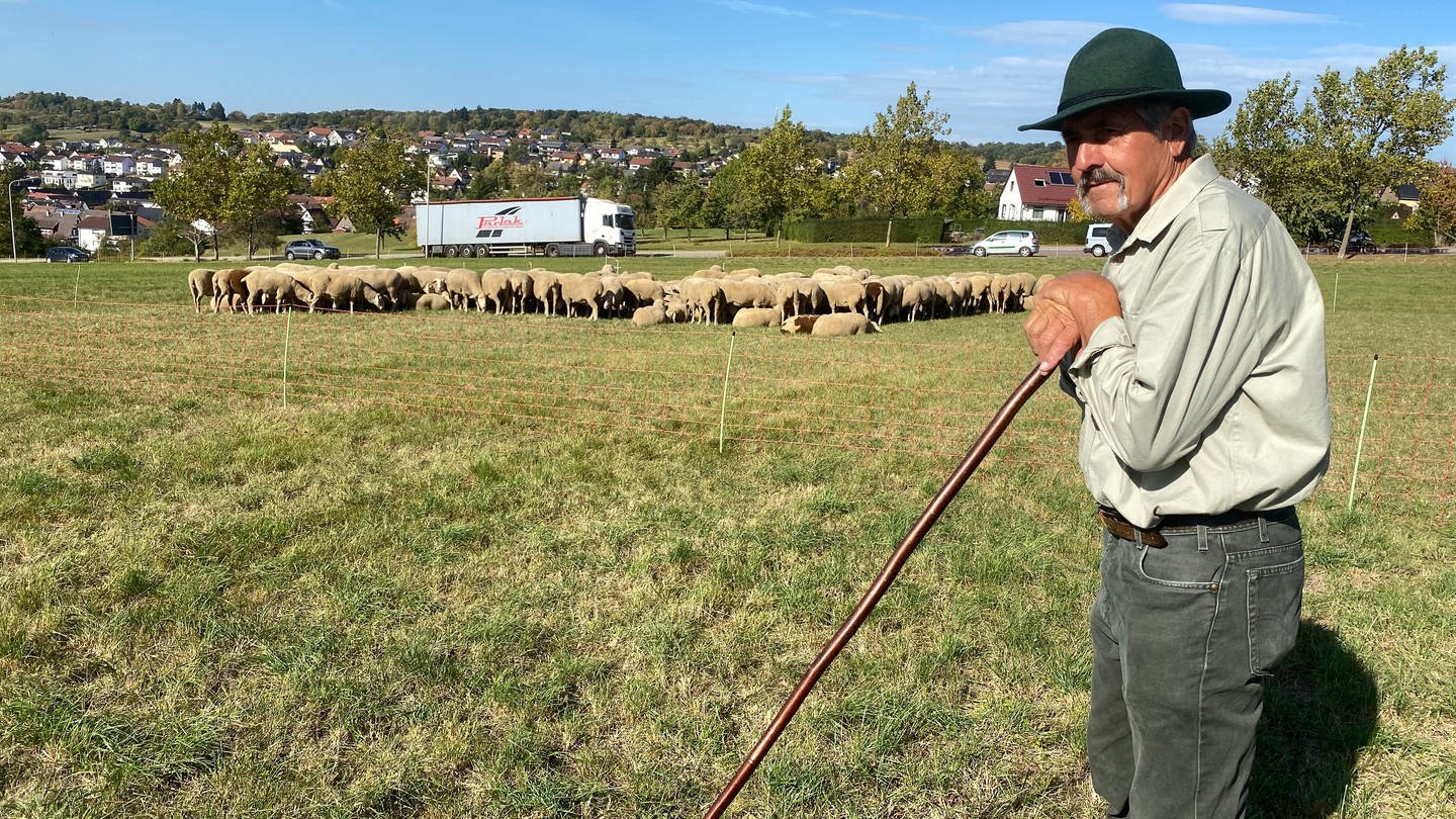 Die Deutsche Meisterschaft im Schafehüten in Niefern-Öschelbronn im Enzkreis.