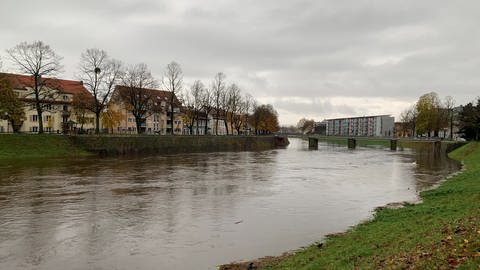 Hochwasser an der Murg: Das Murgvorland in Rastatt ist derzeit komplett überschwemmt.