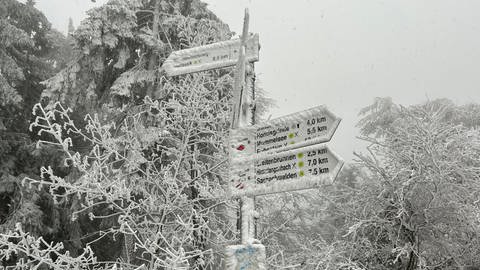 In den kommenden Tagen werden an der Schwarzwaldhochstraße weitere Schneefälle erwartet
