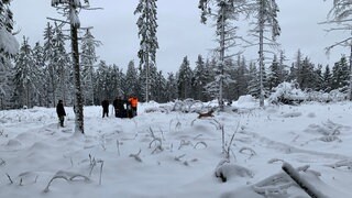 Luchsin Finja rennt nach dem Öffnen der Transportbox in den verschneidten Schwarzwald. Sie wurde ausgewildert, um die Luchspopulation wieder aufzubauen. 