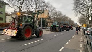 Bauern protestieren mit ihren Traktoren auf der Kriegsstraße in Karlsruhe.