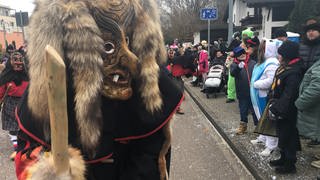 Hästräger, sowie Zuschauerinnen und Zuschauer beim Narrenumzug in Muggensturm im Landkreis Rastatt