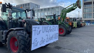 Landwirte aus dem Kreis Karlsruhe setzen ihre Proteste am Donnerstag fort. Mit ihrer Traktoren fuhren sie Richtung Karlsruhe auf den Messplatz und dann weiter auf den Marktplatz.