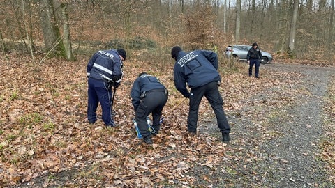 Tötungsdelikt Pfinztal bei Karlsruhe. Auf Spurensuche: Einsatzkräfte der Polizei durchkämpfen den Wald in Pfinztal.