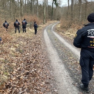 Tötungsdelikt Pfinztal bei Karlsruhe. Auf Spurensuche: Einsatzkräfte der Polizei durchkämpfen den Wald in Pfinztal.