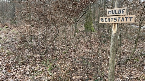 Der Tatort im Wald bei Pfinztal-Söllingen