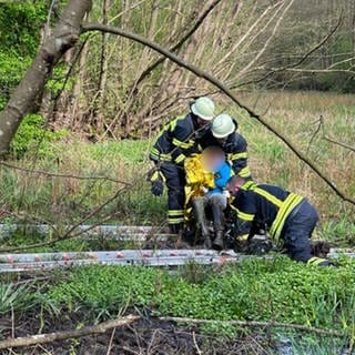 Einsatzkräfte der Feuerwehr retten ein Jungen aus einer Wiese in Pforzheim, die sich durch Regen in Schlamm verwandelt hat.
