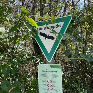 Ein Schild, das auf das Naturschutzgebiet in Rastatt hinweist