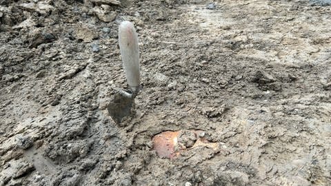 Bei Bauarbeiten gefunden: In Karlsruhe Durlach wurden 22 Skelette auf einem unbekannten Friefhof entdeckt. Ein Schädel steckt im matschigen Boden