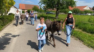 Ein Junge läuft mit einem Esel am Seil voraus