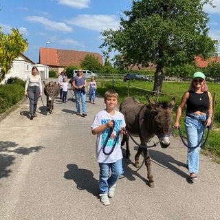 Ein Junge läuft mit einem Esel am Seil voraus