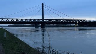 Rheinbrücke bei Maxau: Der Rhein bei Karlsruhe hat Hochwasser
