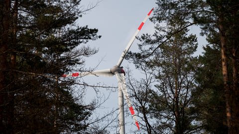 Ein Windrad dreht sich über den Baumwipfeln. Im Schwarzwald und in der Rheinebene gibt es viele neue Pläne für Windkraft.