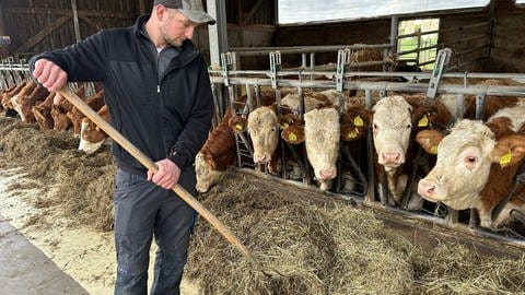 Landwirt Alexander Kern aus Bretten beteiligt sich am Montag an den Bauernprotesten in BW.
