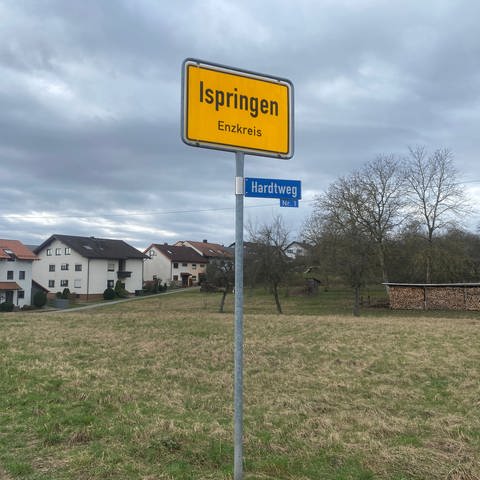 Ortsschild von Ispringen. Im Hintergrund sind eine Wiese und ein paar Häuser zu sehen. Am Tag der Europawahl entscheiden die Bürger dort über ein Neubaugebiet.