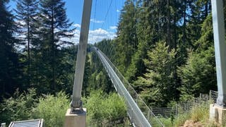 lockt Touristen aus Nah und Fern: die Hängebrücke in Bad Wildbad