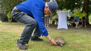 Die Schildkröte Gretel aus Karlsruhe feiert 100. Geburtstag