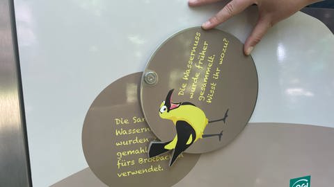 Eine interaktive Tafel auf dem Auenerlebnispfad in Karlsruhe-Rappenwört
