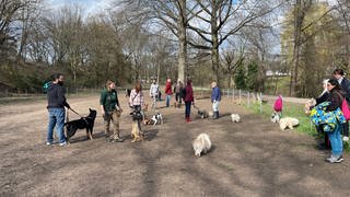 Hundebesitzer beim täglichen Treffen