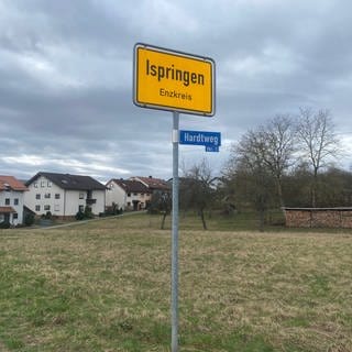 Ortsschild von Ispringen. Im Hintergrund sind eine Wiese und ein paar Häuser zu sehen.  Am Tag der Europawahl hat eine knappe Mehrheit bei einem Bürgerentscheid für die Weiterentwicklung eines Neubaugebietes gestimmt.