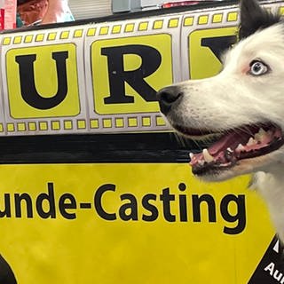 Filmhund-Casting in Baden-Baden