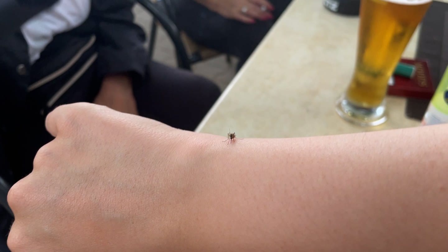 Eine Mücke auf einem Arm. Die Tiere vermiesen Biergarten-Gästen aktuell dem Besuch.