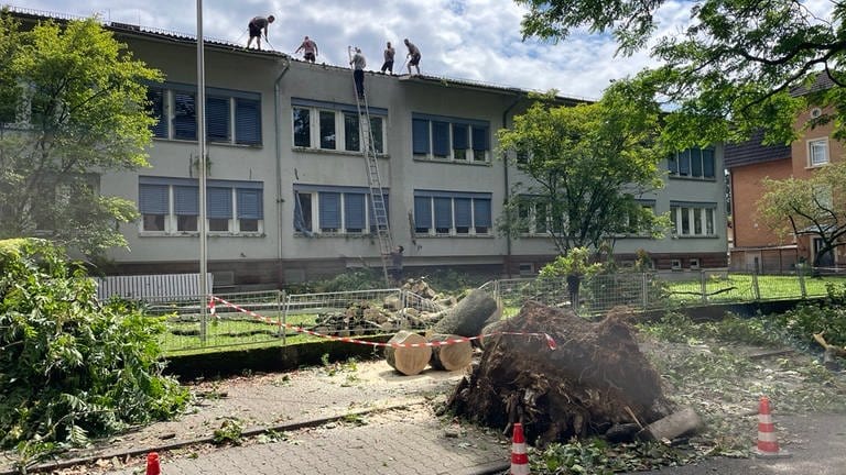 Abgebrochene Bäume und Äste liegen auf den Straßen. Nach dem Unwetter in Rastatt wird aufgeräumt.