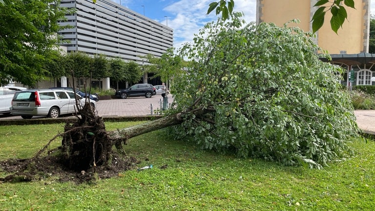 Abgebrochene Bäume und Äste liegen auf den Straßen. Nach dem Unwetter in Rastatt wird aufgeräumt.