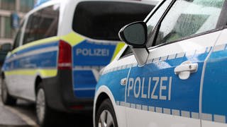 Polizeiautos stehen an einer Straße. Ein Mann, der am Wochenende in Karlsruhe mehrere Polizisten verletzt haben soll, sitzt mittlerweile in Untersuchungshaft. Die Staatsanwaltschaft wirft ihm versuchten Totschlag vor.