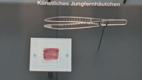 Ein künstlicher Hymen von VirginiaCare wird im Deutschen Hygiene-Museum in Dresden ausgestellt.